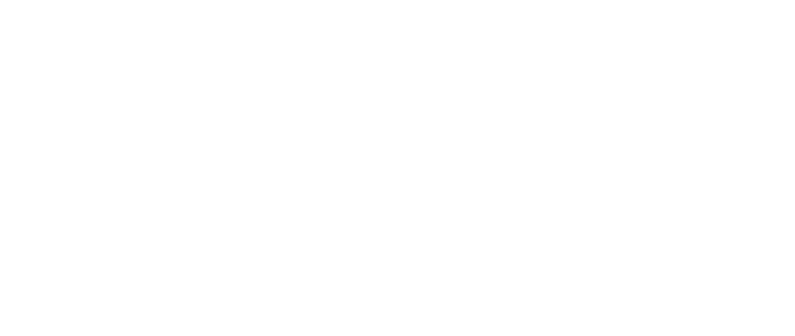 华人VPN